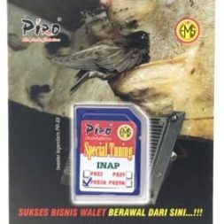Paket Hemat PIRO 1 Piro system tweeter walet piro Kalimantan