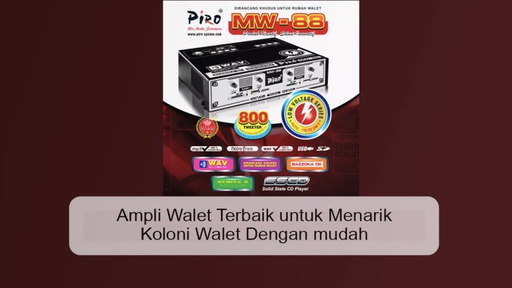 Ampli Walet Terbaik