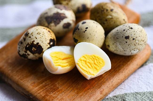 khasiat telur puyuh