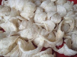 harga air liur walet