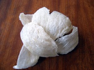 cara memasak sarang walet