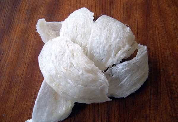 cara memasak sarang walet