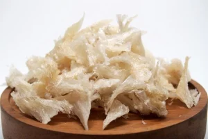 bubur sarang walet