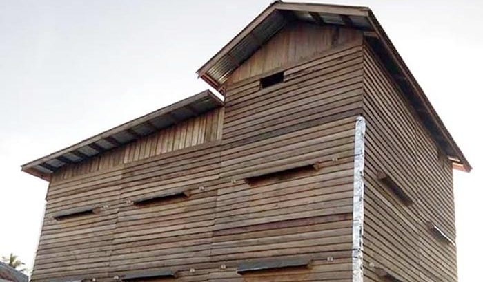 rumah walet kecil berhasil