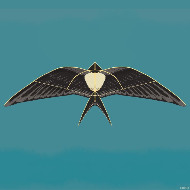 layangan burung walet